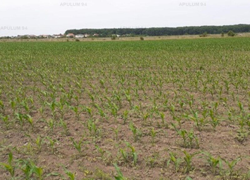 Teren Otopeni Corbeanca- Ana Aslan.